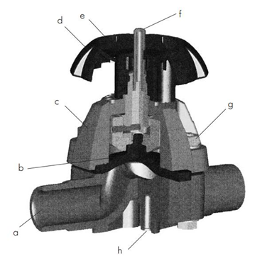 قسمت های مختلف دیافراگم ولو