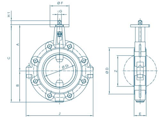 شکل شماتیک باترفلای ولو تفلونی مارک EBRO ARMATUREN