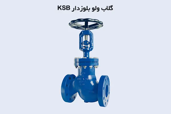 گلاب ولو بلوزدار KSB